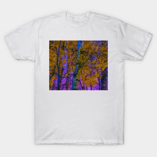 Sunset on Fall Leaves T-Shirt